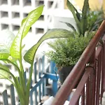 Lagom Studio 18 - Dep Va Yen Binh, Ke Ben Dinh Doc Lap, Nha Tho Duc Ba, Duong Nguyen Du, Phuong Ben Nghe, Quan 1